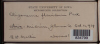 Image Associated With the Occurence